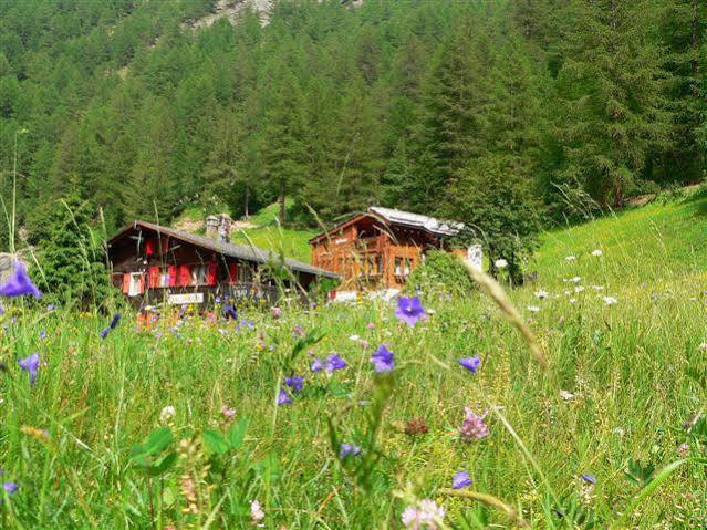 Apartmán Haus Alpenperle Saas-Almagell Exteriér fotografie